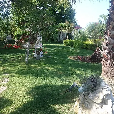 Petra Chiara * 洛科罗通多