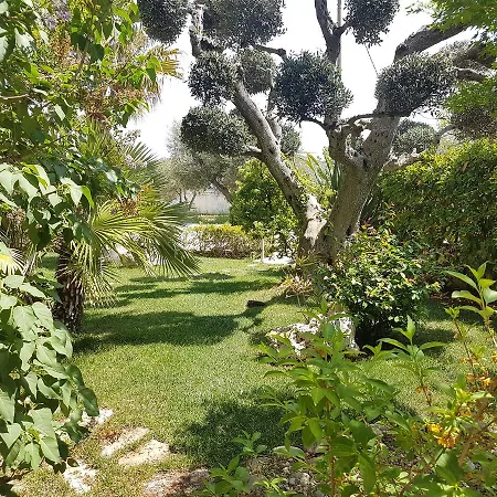 Petra Chiara 洛科罗通多