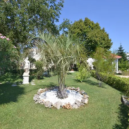 Petra Chiara 洛科罗通多