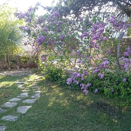 Petra Chiara Villa *