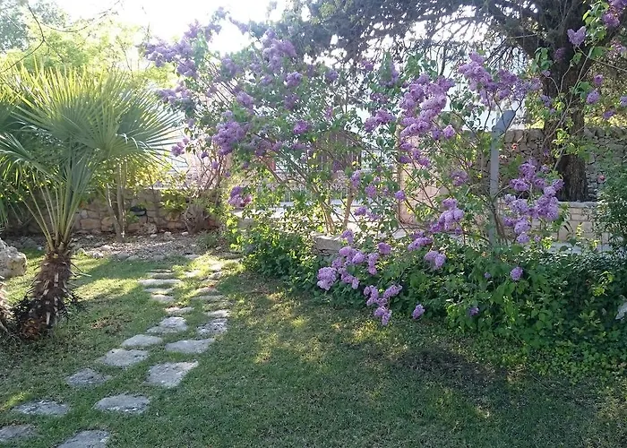 Petra Chiara וילה *